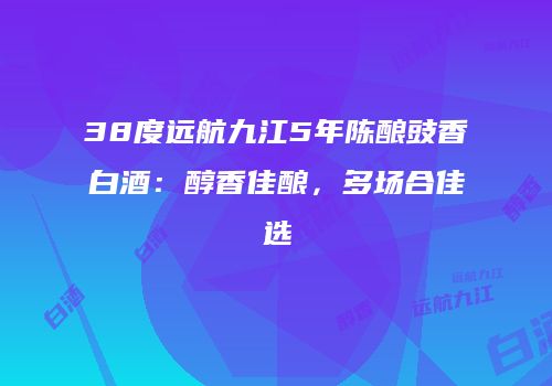 38度远航九江5年陈酿豉香白酒：醇香佳酿，多场合佳选