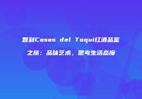 智利Casas del Toqui红酒品鉴之旅：品味艺术，思考生活态度