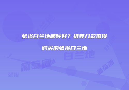 张裕白兰地哪种好？推荐几款值得购买的张裕白兰地