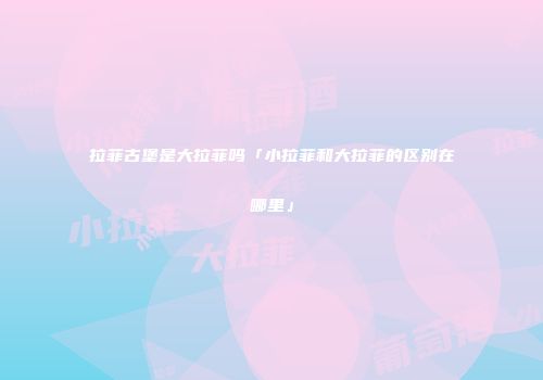拉菲古堡是大拉菲吗「小拉菲和大拉菲的区别在哪里」