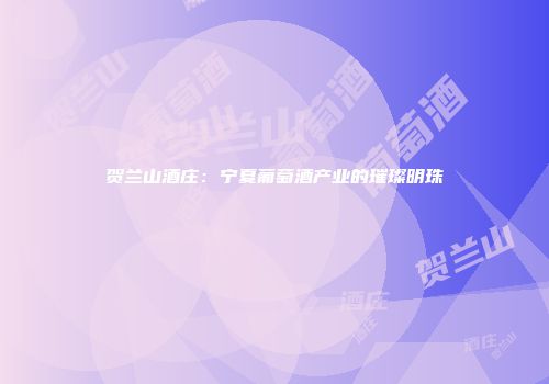 贺兰山酒庄：宁夏葡萄酒产业的璀璨明珠