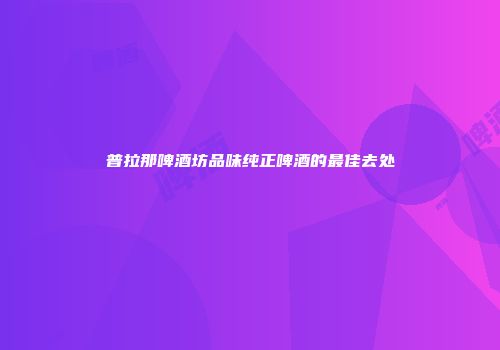 普拉那啤酒坊品味纯正啤酒的最佳去处