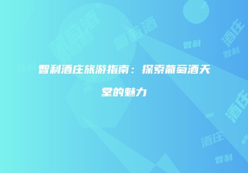 智利酒庄旅游指南：探索葡萄酒天堂的魅力