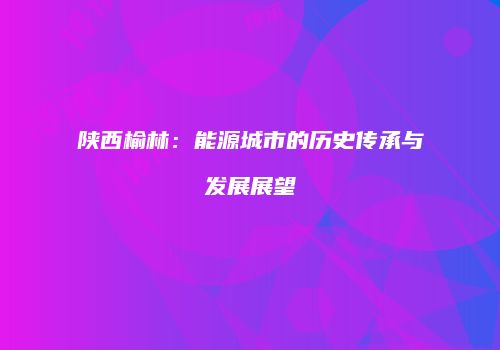 陕西榆林：能源城市的历史传承与发展展望