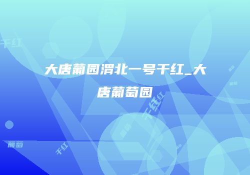 大唐葡园渭北一号干红_大唐葡萄园
