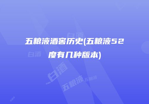 五粮液酒窖历史(五粮液52度有几种版本)