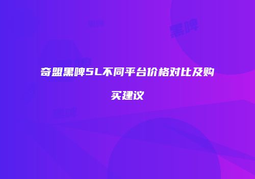 奇盟黑啤5L不同平台价格对比及购买建议
