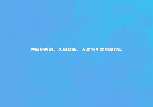 海底捞啤酒：火锅佳酿，大麦与小麦风味对比