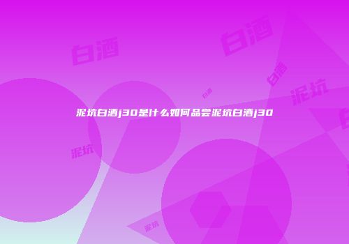 泥坑白酒j30是什么如何品尝泥坑白酒j30