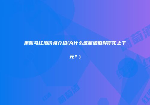 黑骏马红酒价格介绍(为什么这瓶酒值得你花上千元？)