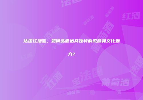 法国红酒宝，如何品尝出其独特的风味和文化魅力？