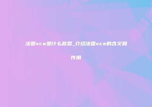 法国vce是什么意思_介绍法国vce的含义和作用