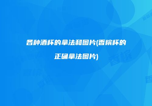 各种酒杯的拿法和图片(香槟杯的正确拿法图片)