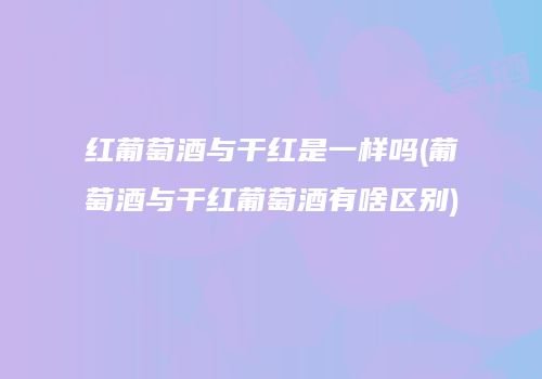 红葡萄酒与干红是一样吗(葡萄酒与干红葡萄酒有啥区别)