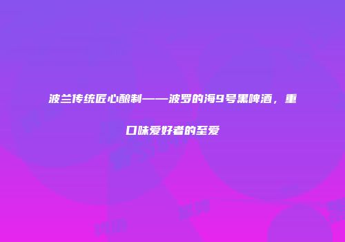 波兰传统匠心酿制——波罗的海9号黑啤酒，重口味爱好者的至爱