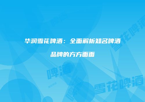 华润雪花啤酒：全面解析知名啤酒品牌的方方面面