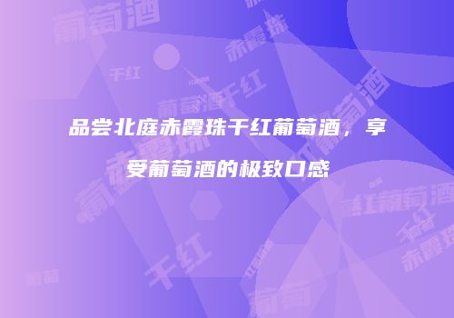 品尝北庭赤霞珠干红葡萄酒，享受葡萄酒的极致口感