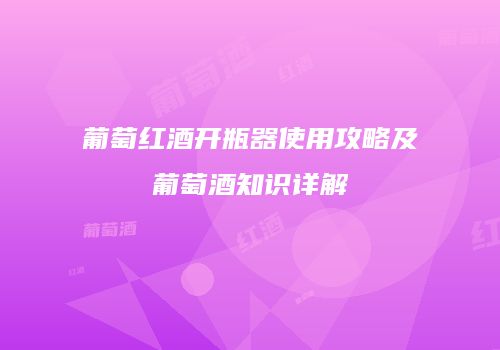 葡萄红酒开瓶器使用攻略及葡萄酒知识详解
