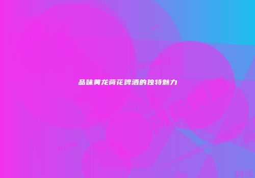 品味黄龙荷花啤酒的独特魅力