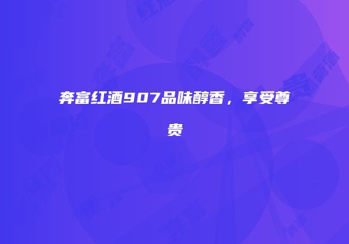 奔富红酒907品味醇香，享受尊贵