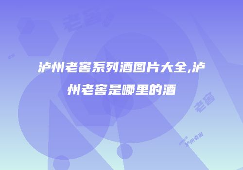 泸州老窖系列酒图片大全,泸州老窖是哪里的酒