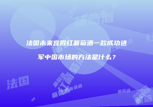 法国未来宫殿红葡萄酒一款成功进军中国市场的方法是什么？