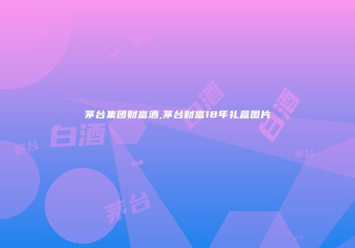 茅台集团财富酒,茅台财富18年礼盒图片