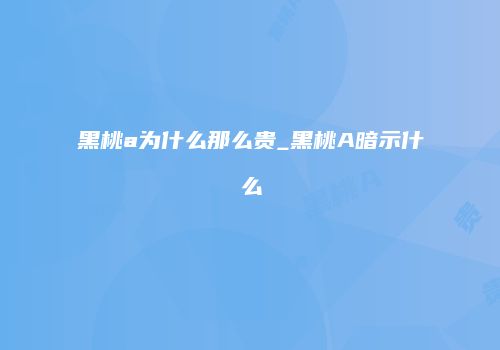 黑桃a为什么那么贵_黑桃A暗示什么