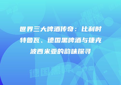 世界三大啤酒传奇：比利时特鲁瓦、德国黑啤酒与捷克波西米亚的韵味探寻