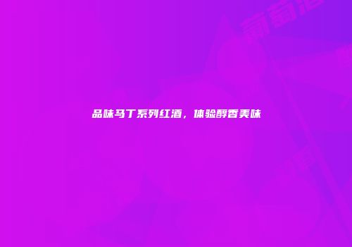 品味马丁系列红酒，体验醇香美味