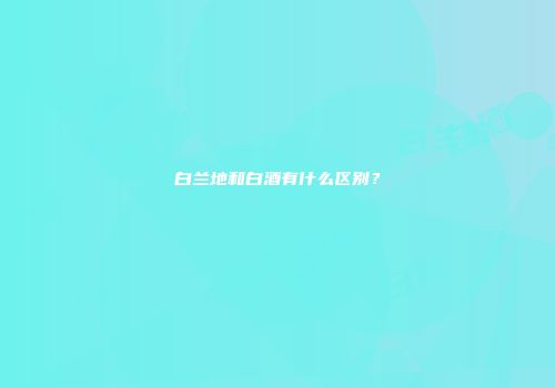 白兰地和白酒有什么区别？