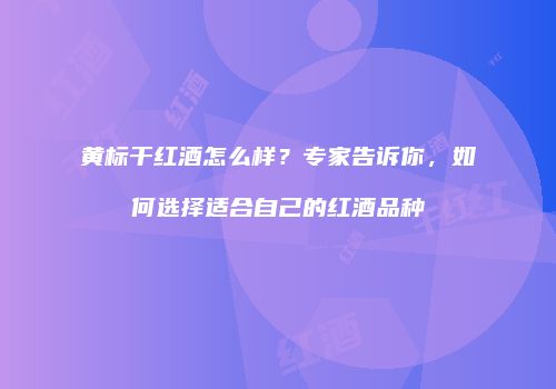 黄标干红酒怎么样？专家告诉你，如何选择适合自己的红酒品种
