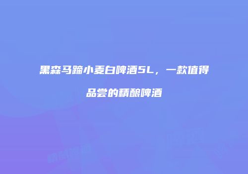 黑森马蹄小麦白啤酒5L，一款值得品尝的精酿啤酒