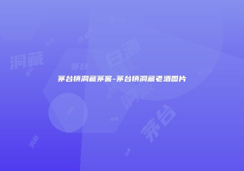 茅台镇洞藏茅窖-茅台镇洞藏老酒图片