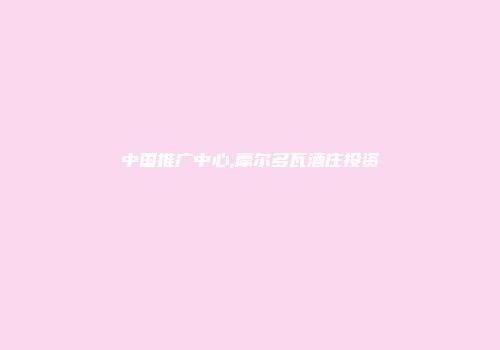 中国推广中心,摩尔多瓦酒庄投资
