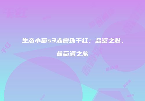 生态小萄s3赤霞珠干红：品鉴之魅，葡萄酒之旅