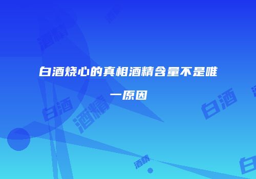 白酒烧心的真相酒精含量不是唯一原因