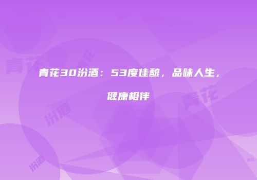 青花30汾酒：53度佳酿，品味人生，健康相伴