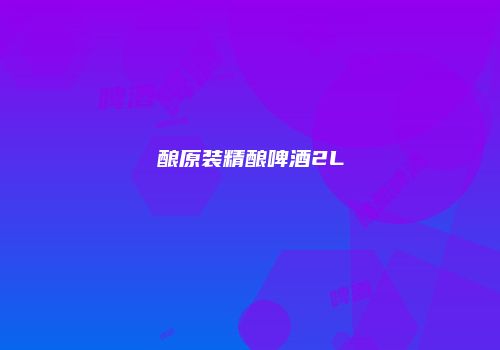 酿原装精酿啤酒2L
