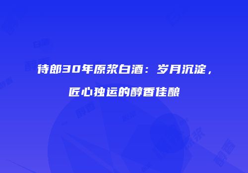 待郎30年原浆白酒：岁月沉淀，匠心独运的醇香佳酿