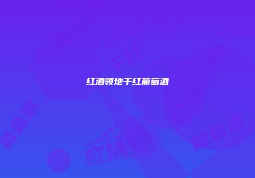 红酒领地干红葡萄酒