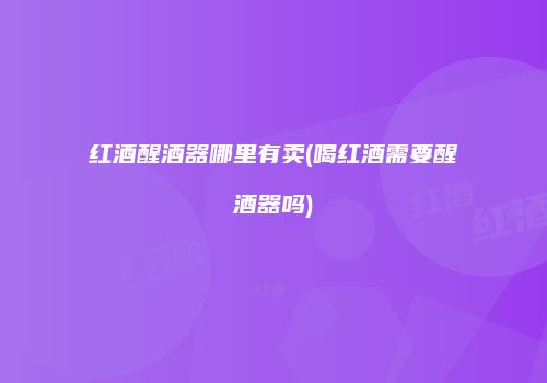红酒醒酒器哪里有卖(喝红酒需要醒酒器吗)