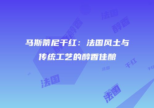 马斯蒂尼干红：法国风土与传统工艺的醇香佳酿