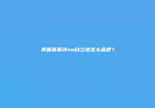 美国蓝慕诗xo白兰地怎么品尝？