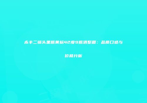 永丰二锅头黑瓶黄标42度9瓶酒整箱：品质口感与价格分析
