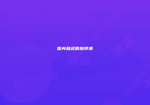 国内知名精酿啤酒