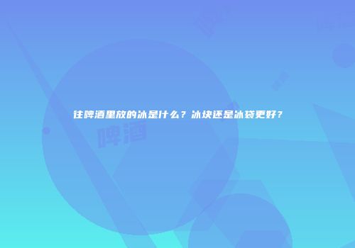 往啤酒里放的冰是什么？冰块还是冰袋更好？