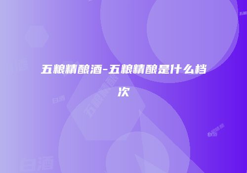 五粮精酿酒-五粮精酿是什么档次