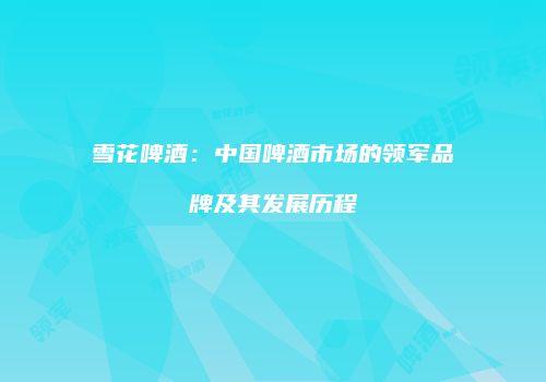 雪花啤酒：中国啤酒市场的领军品牌及其发展历程