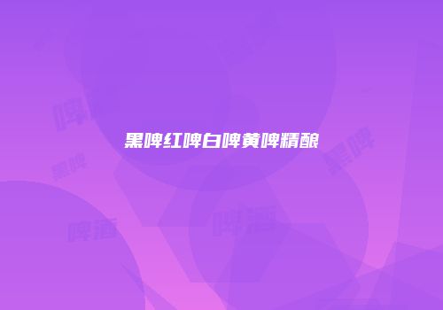 黑啤红啤白啤黄啤精酿